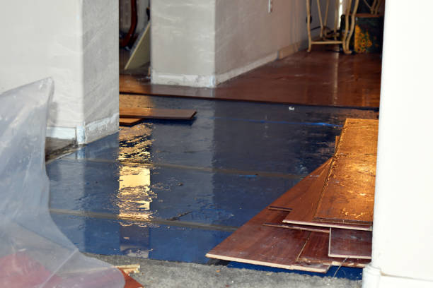 Professional Basement Flood Cleanup technician working in Horseshoe Bend, ID